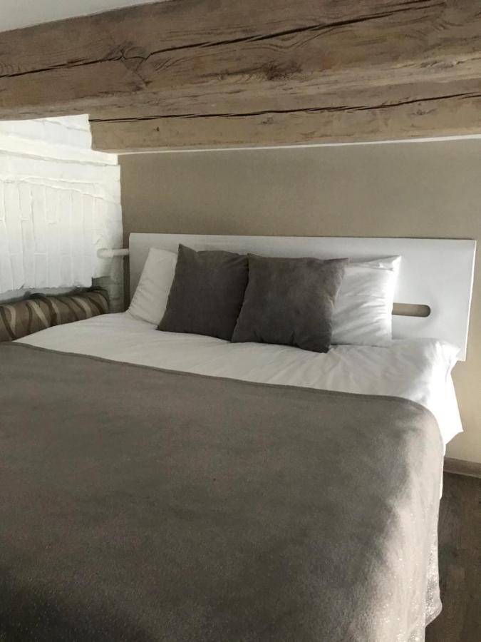 Lviv Rent Apartments 1 المظهر الخارجي الصورة